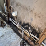 Casselberry Bathroom Renovation